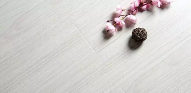 如何清潔位于木地板的灰塵